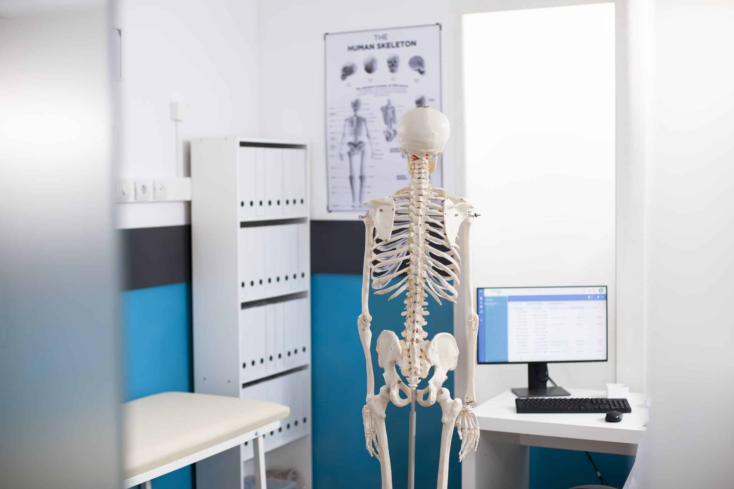 Medical office with skeletal model